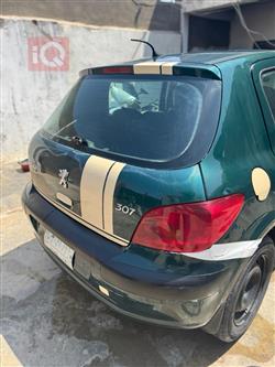 بیجۆ 307